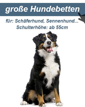 Hundesofa für große Hunde