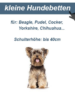 Hundesofa für kleine Hunde