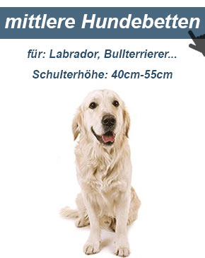 Hundesofa für mittelgroße Hunde